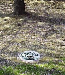 Cocoa's Grave